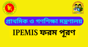 IPEMIS -এ শিক্ষক প্রোফাইল আপডেট। IPEMIS Teachers profile